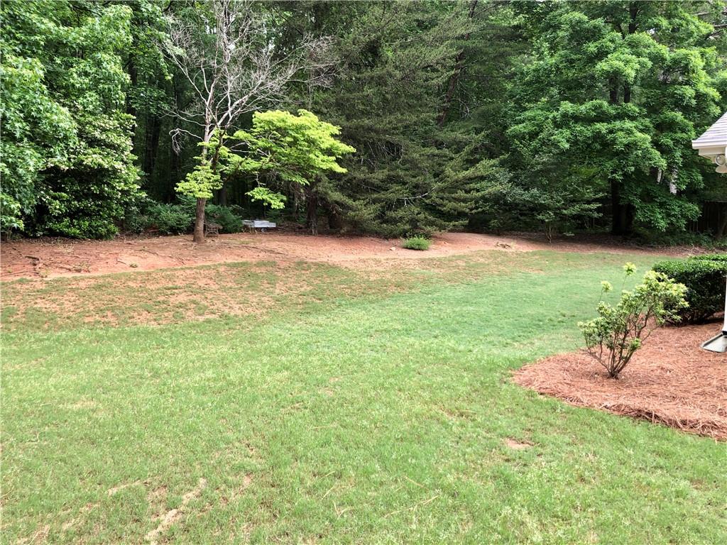 1818 Brandy Woods Drive, Conyers, Georgia image 38
