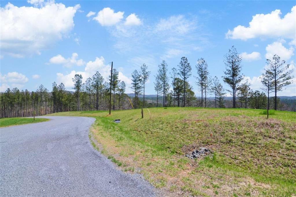 LT 195 Blalock Mountain Rd, Talking Rock, Georgia image 3