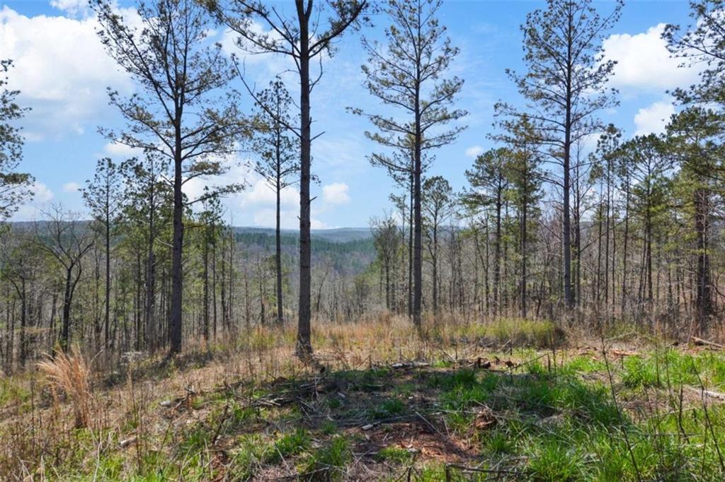 LT 195 Blalock Mountain Rd, Talking Rock, Georgia image 7