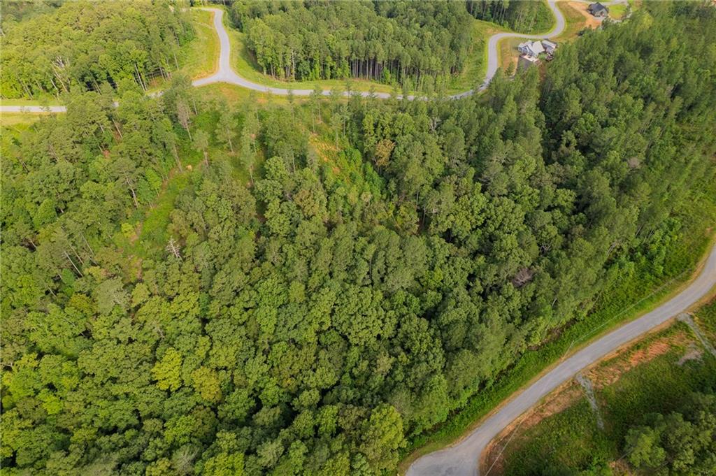 LT 195 Blalock Mountain Rd