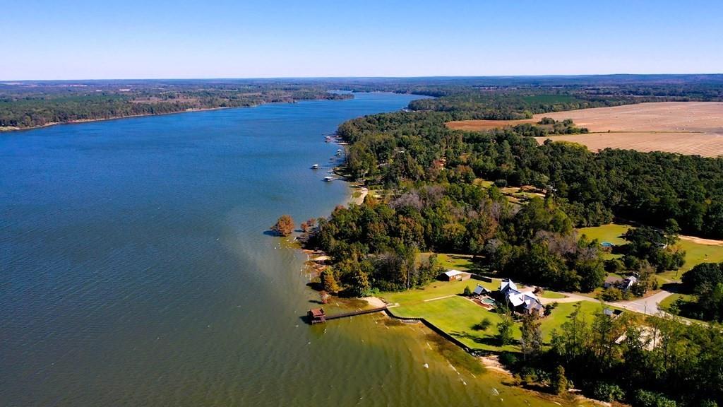 20 Macedonia Rd Road, Fort Gaines, Georgia image 14