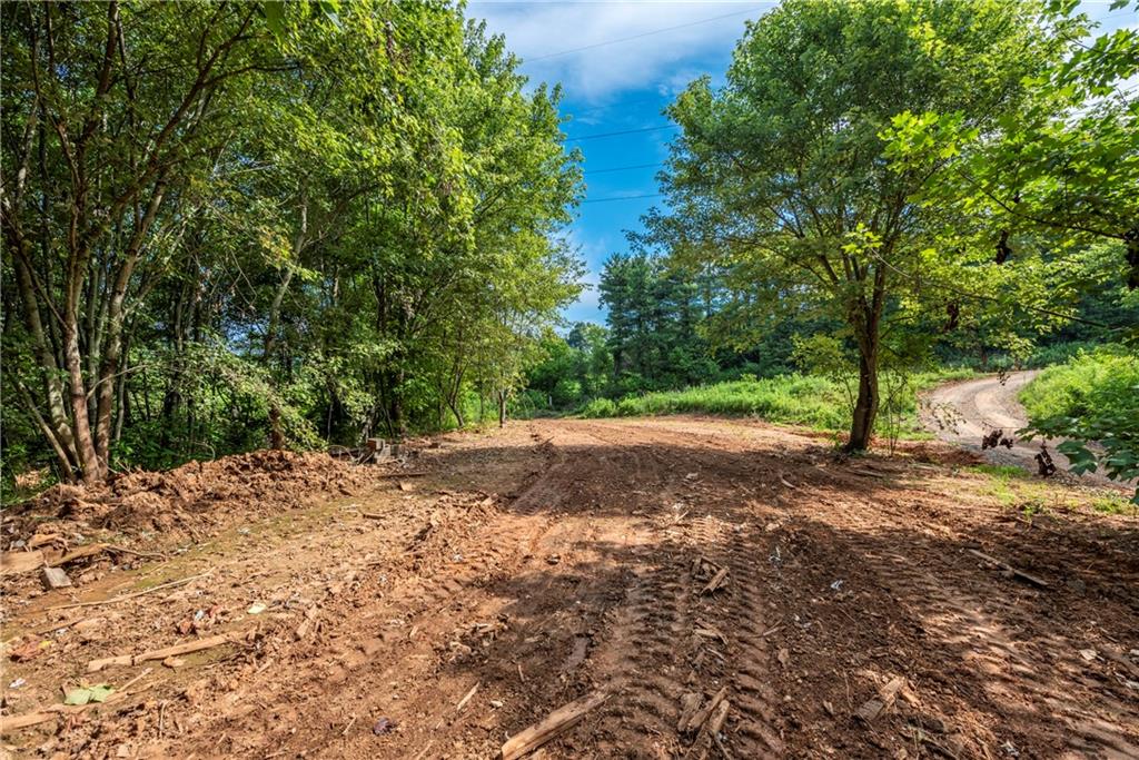 Don't miss this rare opportunity to own 9.88 acres of unrestricted land, currently zoned agricultural—ideal for building your dream home, establishing a mini-farm, or creating a peaceful country retreat. With roads already in place, access is easy and site prep is minimal. Imagine open pastures for your horses, a custom home surrounded by nature, and the quiet of rural living—all just 5 minutes from downtown Jasper and Highway 515. County water is available, adding even more convenience. The adjoining 9.88-acre parcel is also available, offering a total of 19.76 acres and endless possibilities. Bring your vision and make this special property your own!