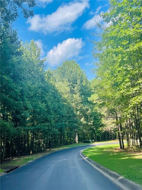 711 Hawks Ridge Drive Ball Ground GA 30107