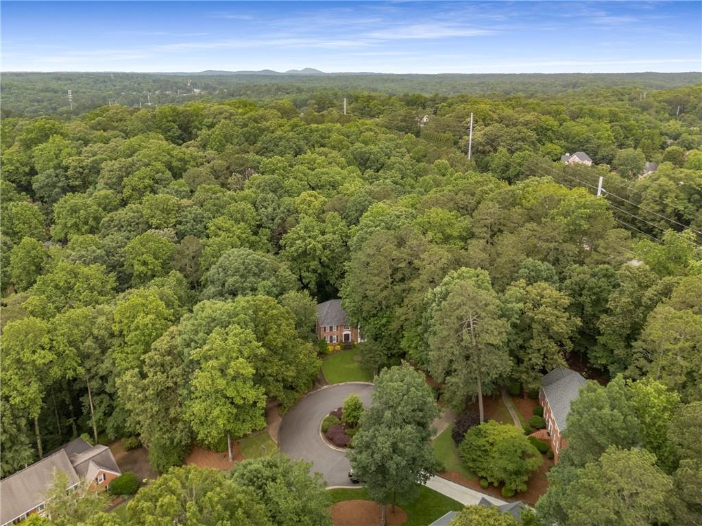 355 Highlands Trace, Roswell, Georgia image 43