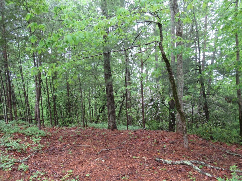 Spring Crest Road, Cleveland, Georgia image 4