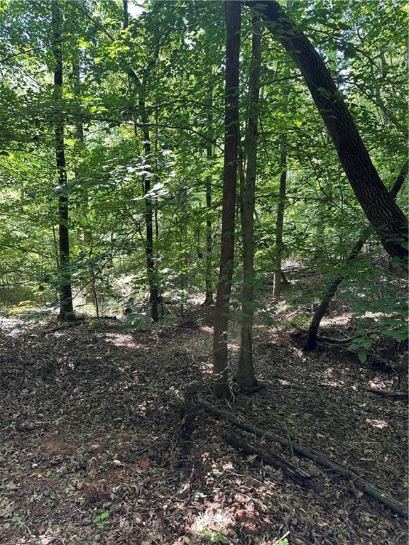 989 Wiley Bridge Road