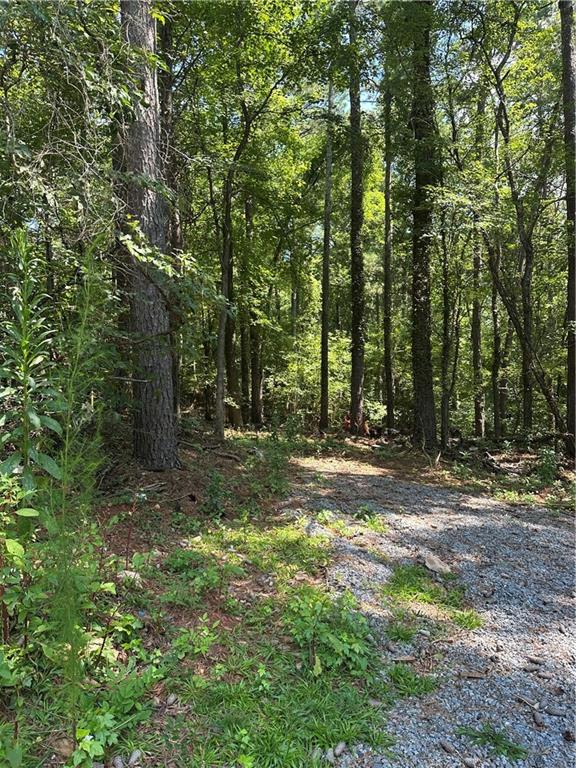 989 Wiley Bridge Road