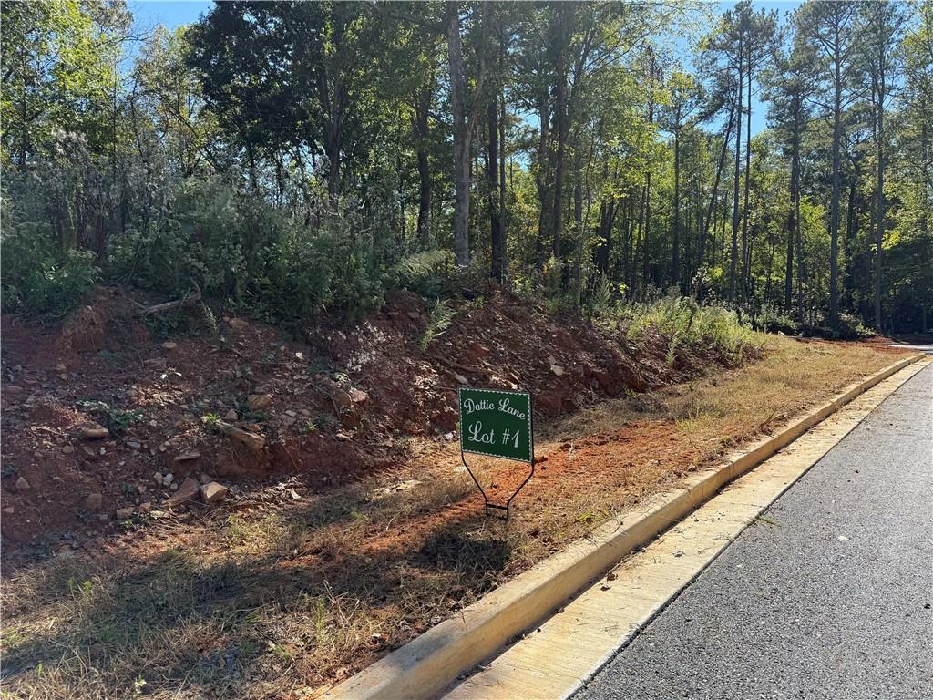 001 Dottie Lane, Talking Rock, Georgia image 4