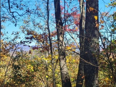 Vacant Land For Sale - 14 AC Old Burnt Mountain<br/> Ellijay, GA 30540