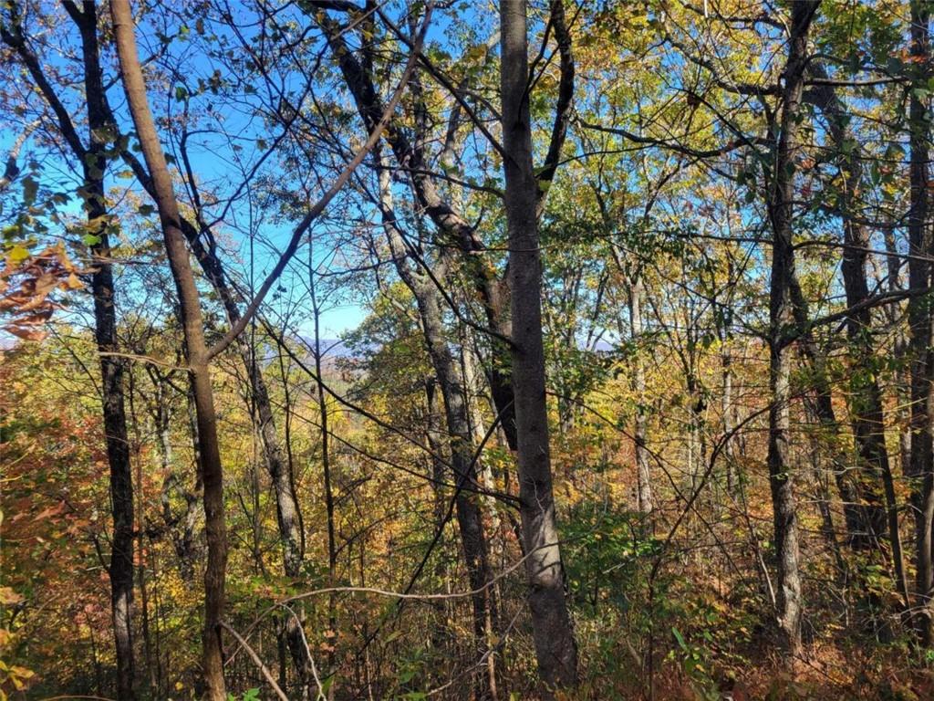 14 AC Old Burnt Mountain