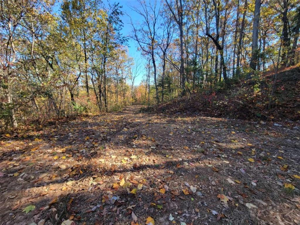 14 AC Old Burnt Mountain