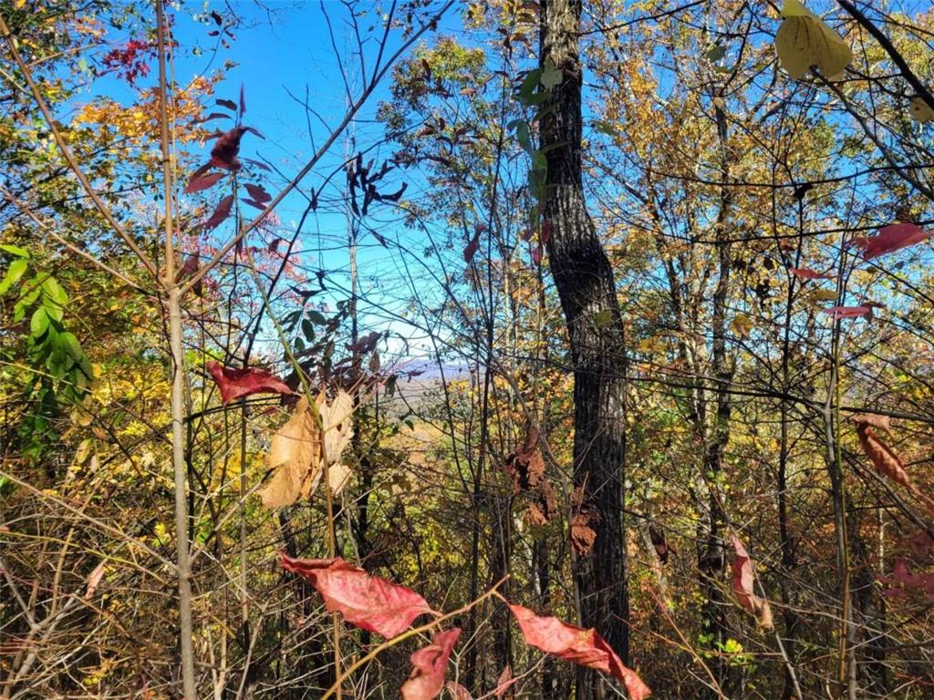 14 AC Old Burnt Mountain