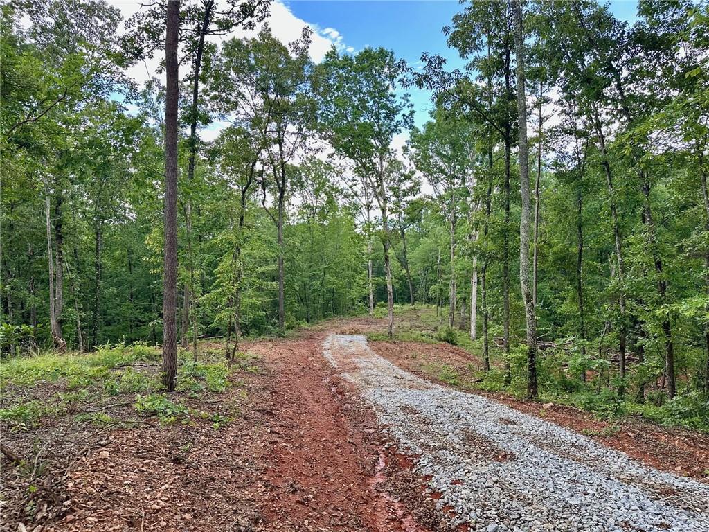 Beautiful, private 4.09-/+ acre opportunity in South Lumpkin/Dawsonville. Perfect for those looking to build a basement or slab. Set back off the private road, just down from the paved county road, it is perfectly separated from the neighboring lots by the lay of the land. Stunning river basin views & awaiting the plush green privacy of Spring. Cute little branch on back of lot line. Lots of work and infrastructure is in place for you already- partially cleared, driveway is in, power is buried, & fiber is scheduled. Last of three, adorable construction is taking place on neighboring lots. Dead end roads, no through traffic, dark skies, killer location. Hard to find lot size, don't miss this one! Make contact with Broker to understand lot location before trying to find. Additional land available in areas of Lumpkin County. Inquire with Broker. Owner financing available. Home & land trades considered also.