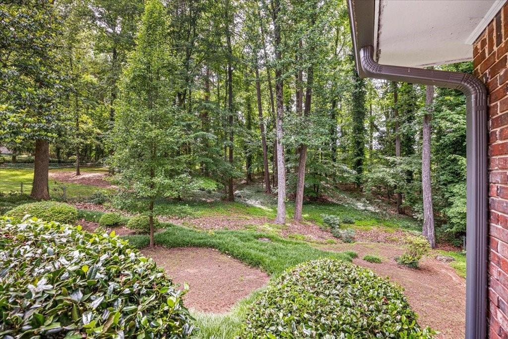 3792 Harts Mill Lane, Brookhaven, Georgia image 29