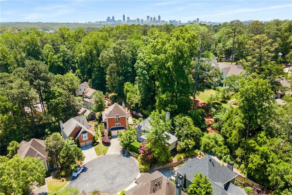 1077 Shady Valley Place, Atlanta, Georgia image 35