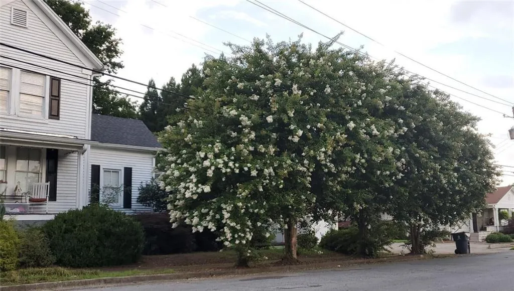 Rockmart, Georgia 30153, United States, 4 Bedrooms Bedrooms, ,4 BathroomsBathrooms,Residential,Active,104870