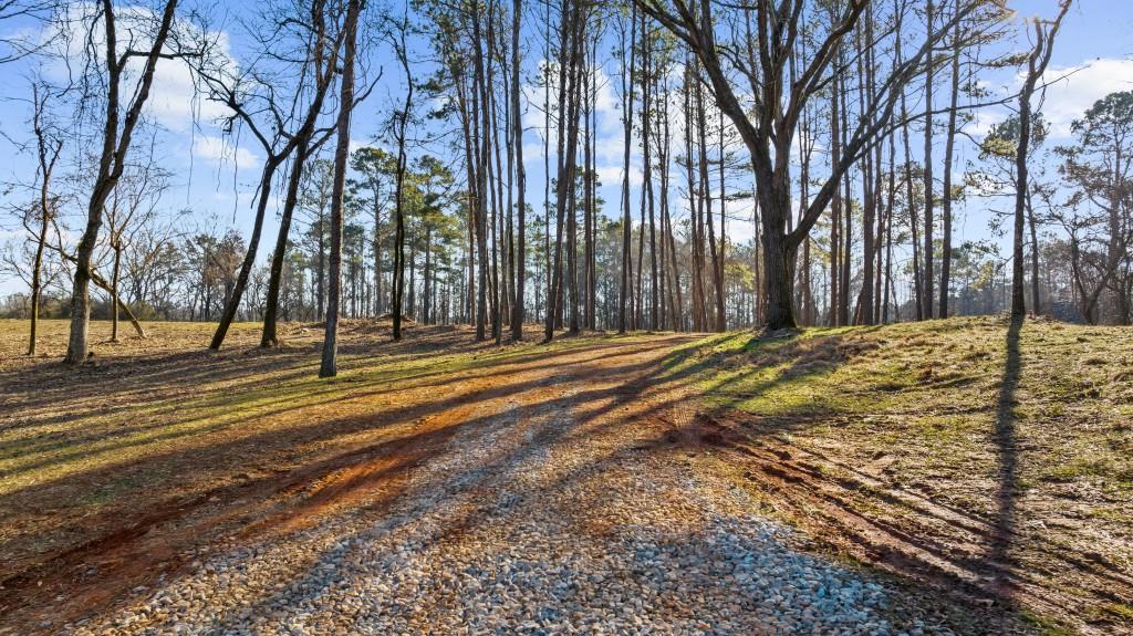 113 Hickory Flat Road