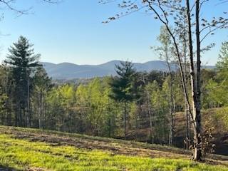 Lot 1 Highway 52 W