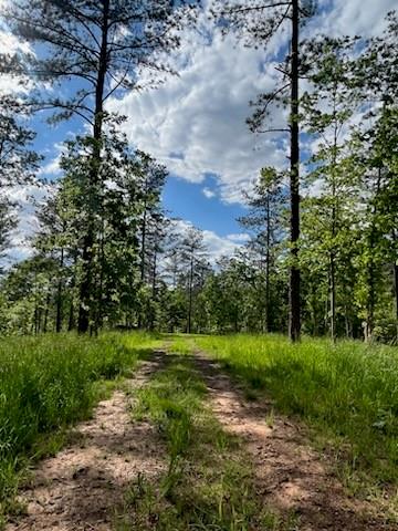 Lot 1 Highway 52 W