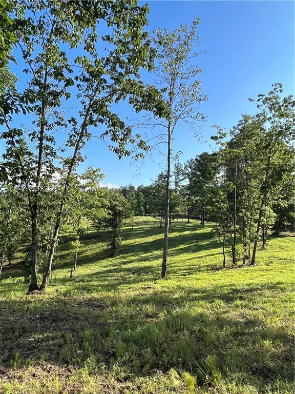 Lot 1 Highway 52 W