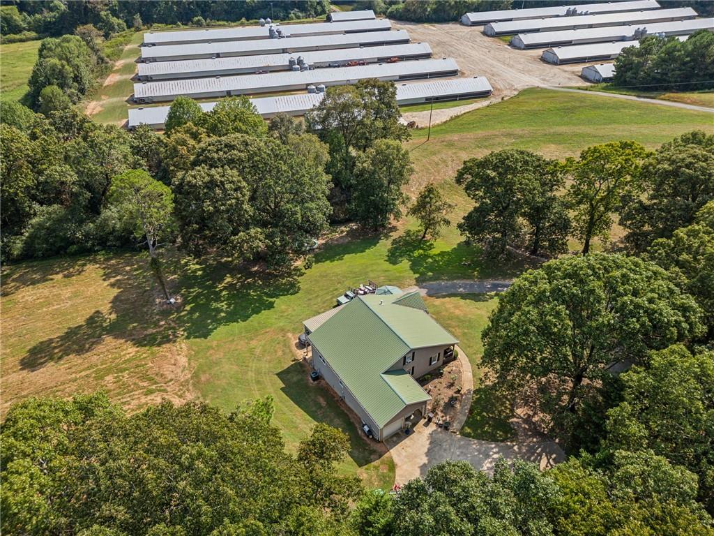 Pea Ridge, Gainesville, Georgia image 8