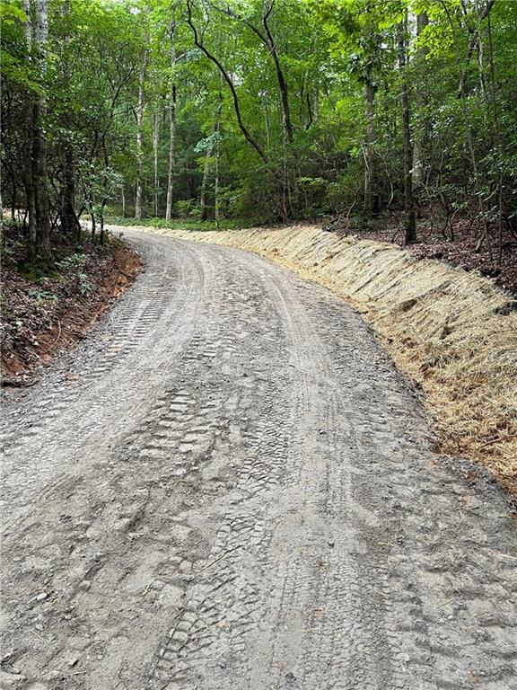 156 Cold Stream Trail