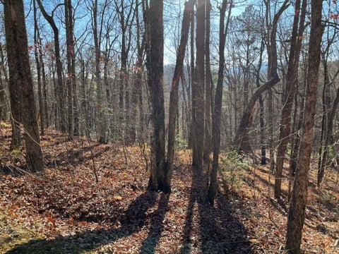 Vacant Land For Sale - LOT #1 Forest Canopy Way<br/> Clayton, GA 30525