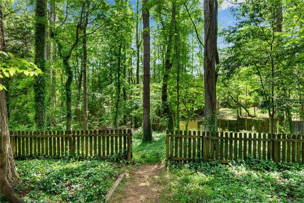 2350 Shore View Way, Suwanee, Georgia image 47
