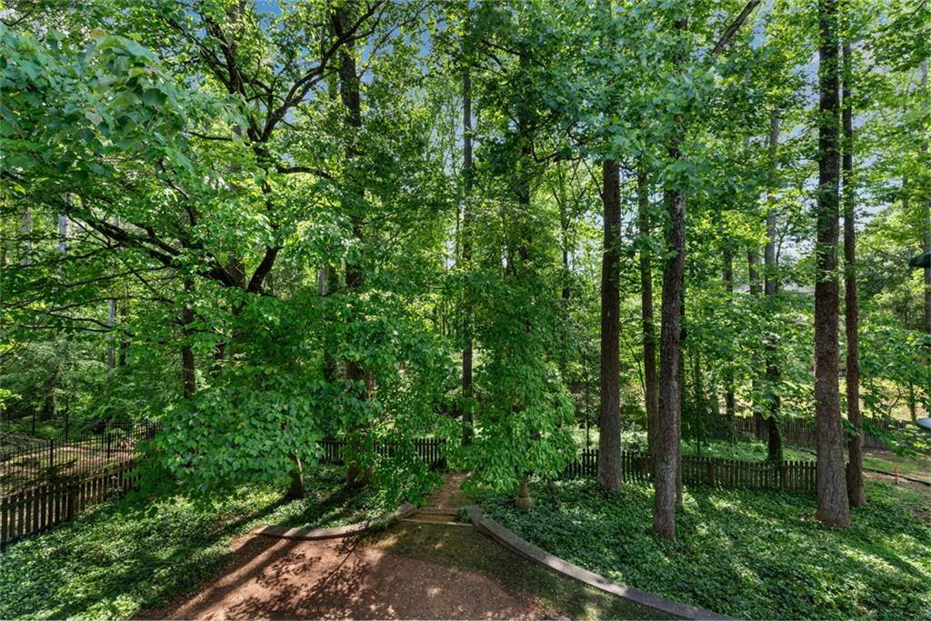 2350 Shore View Way, Suwanee, Georgia image 45