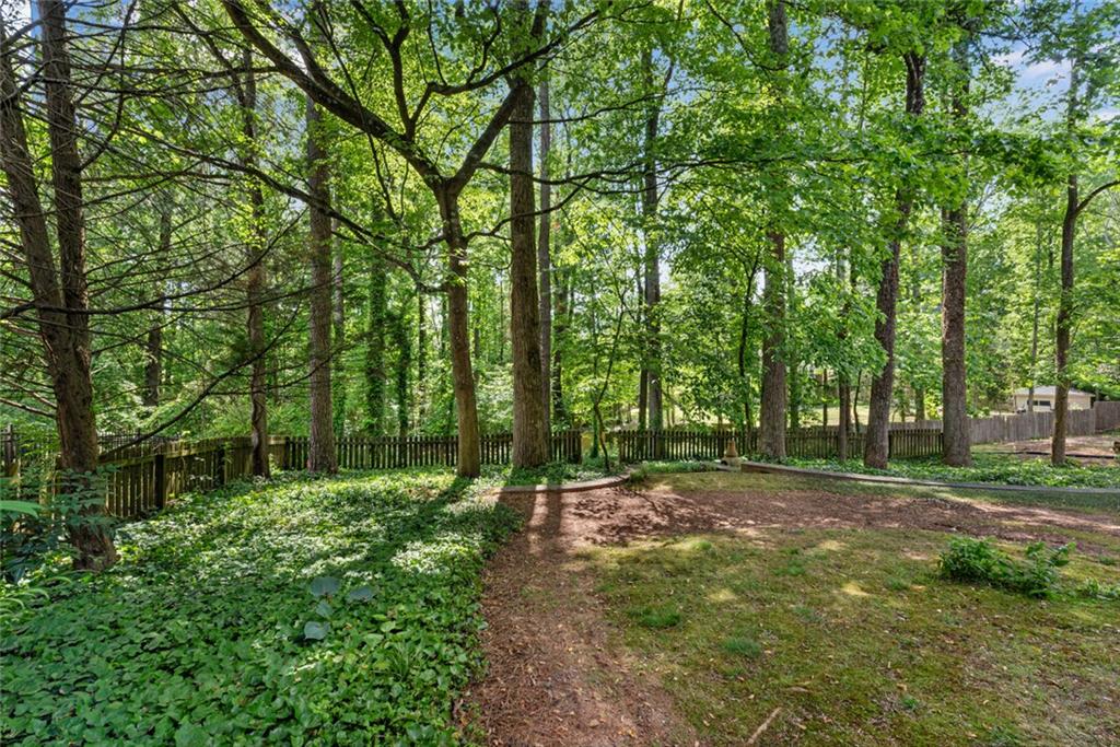 2350 Shore View Way, Suwanee, Georgia image 46