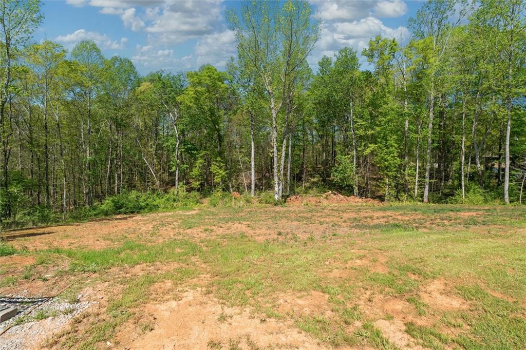 80 Taylors Gin Road, Temple, Georgia image 31