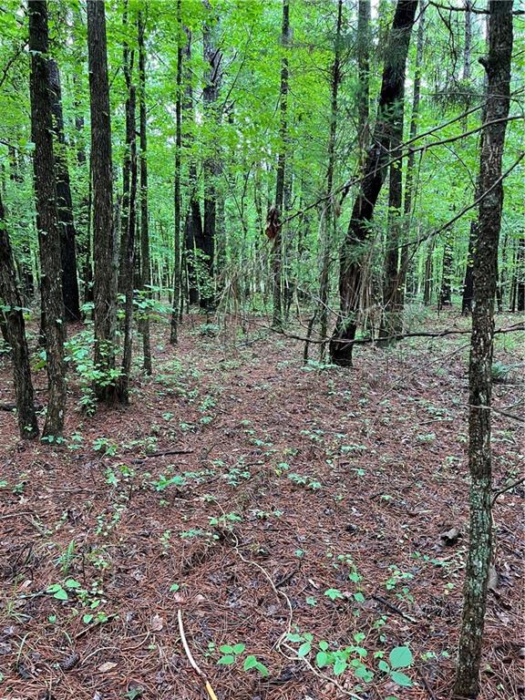 E Teems Road, Ringgold, Georgia image 2