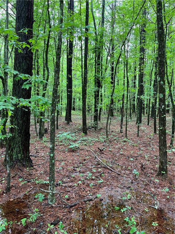 E Teems Road, Ringgold, Georgia image 8