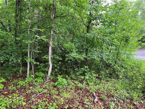 0 E Teems Road Ringgold GA 30736