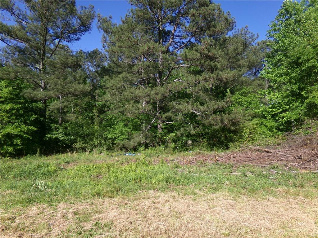 3905 Georgia Highway 138, Covington, Georgia image 11