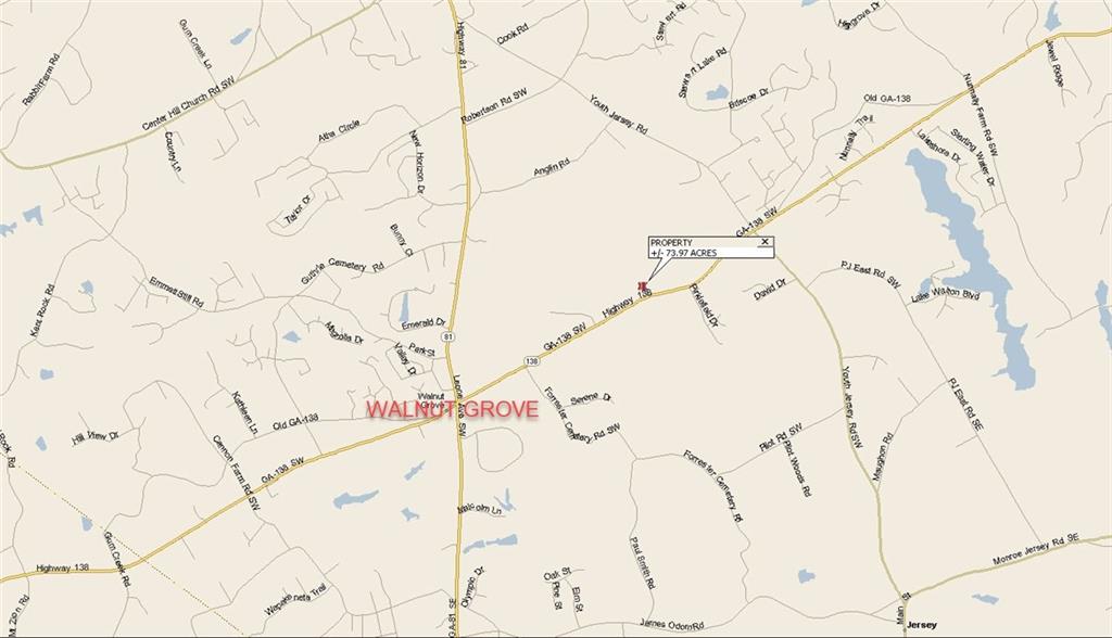 3905 Georgia Highway 138, Covington, Georgia image 41