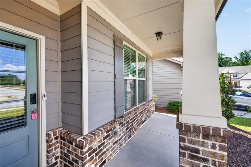 5412 Mountain Mint