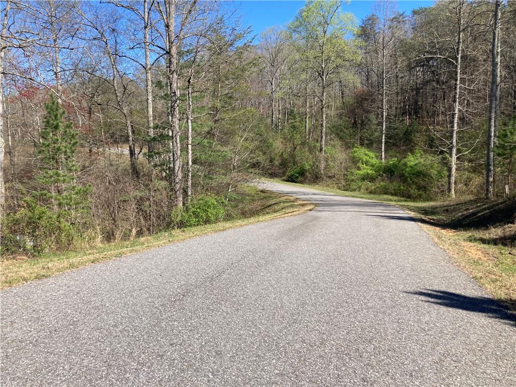 Coras Way, Blairsville, Georgia image 4