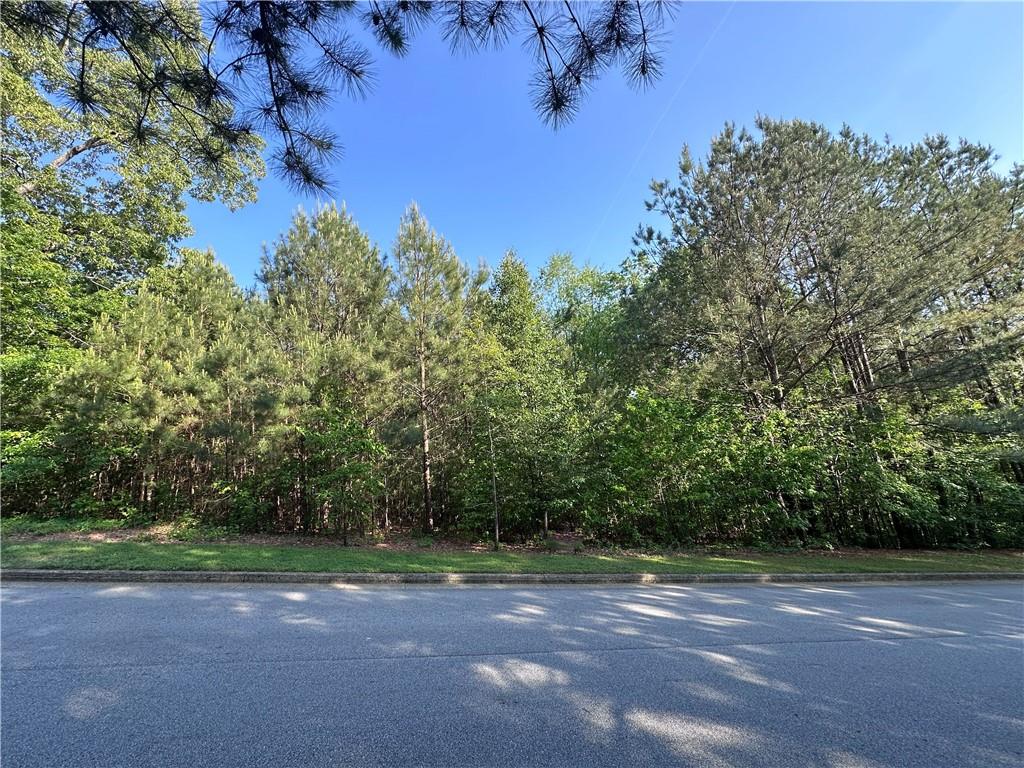 261 Potomac Drive, Dallas, Georgia image 45