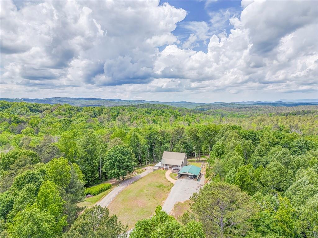 225 Deer Hollow Trail