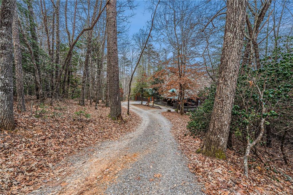 533 Mangums Trail, Blue Ridge, Georgia image 3