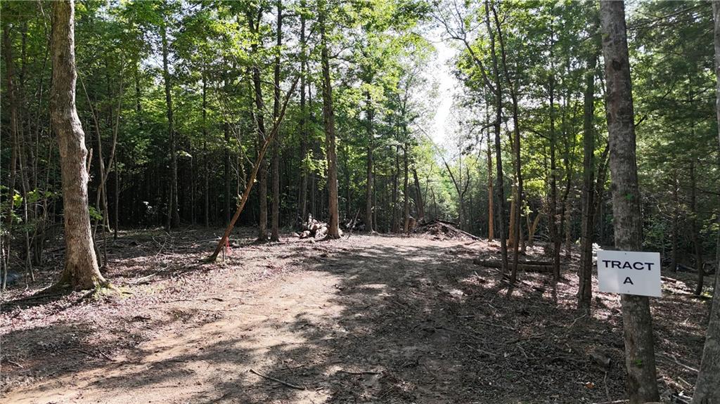 Beautiful 6.15 Acres in the Scenic Stover Mountain Area - East New Hope Road, Ellijay, GA. Welcome to your own slice of North Georgia paradise! This 6.15-acre tract is part of a cherished family estate that has recently been divided and rezoned into residential parcels ranging from 2.4 to 11.81 acres. Nestled in the serene and sought-after Stover Mountain area of Ellijay, this property offers a peaceful, wooded setting with gorgeous mature trees and a natural landscape that invites privacy, tranquility, and connection with nature. Whether you're dreaming of building a cozy mountain retreat or a full-time home, this property provides the perfect canvas. The only restriction is that no mobile or manufactured homes are allowed, helping to preserve the beauty and integrity of the area. Conveniently located yet feeling miles away from the hustle and bustle, you'll enjoy all the charm of mountain living while still being within easy reach of Ellijay's quaint shops, restaurants, and outdoor adventures. Don't miss your chance to claim a piece of this beautifully preserved land in the heart of the North Georgia mountains!