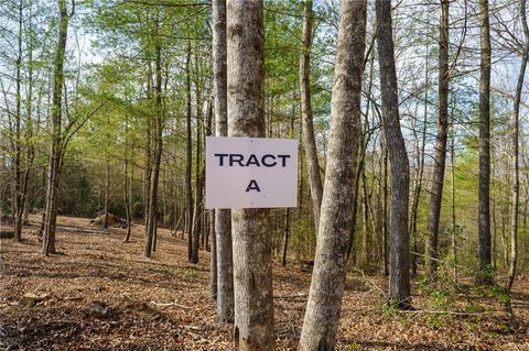 Vacant Land For Sale - TR A East New Hope Road<br/> Ellijay, GA 30536
