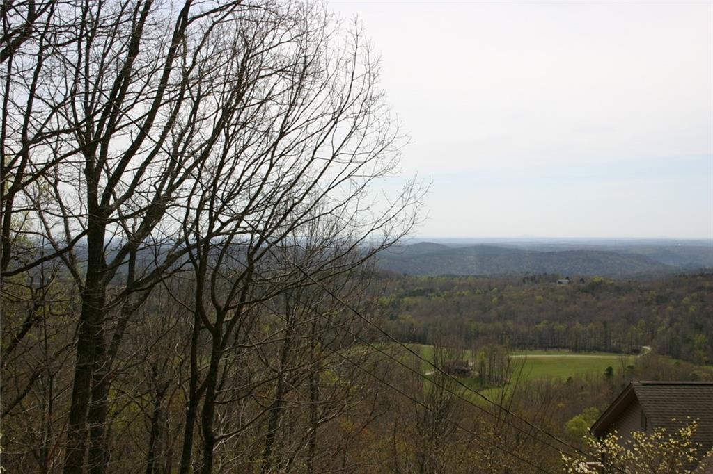 1425 Oglethorpe Mountain Trail, Jasper, Georgia image 3