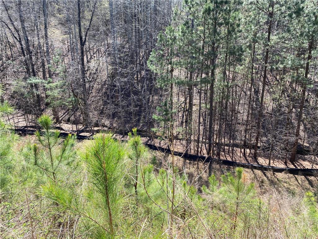 405 Trumpet Circle, Canton, Georgia image 13