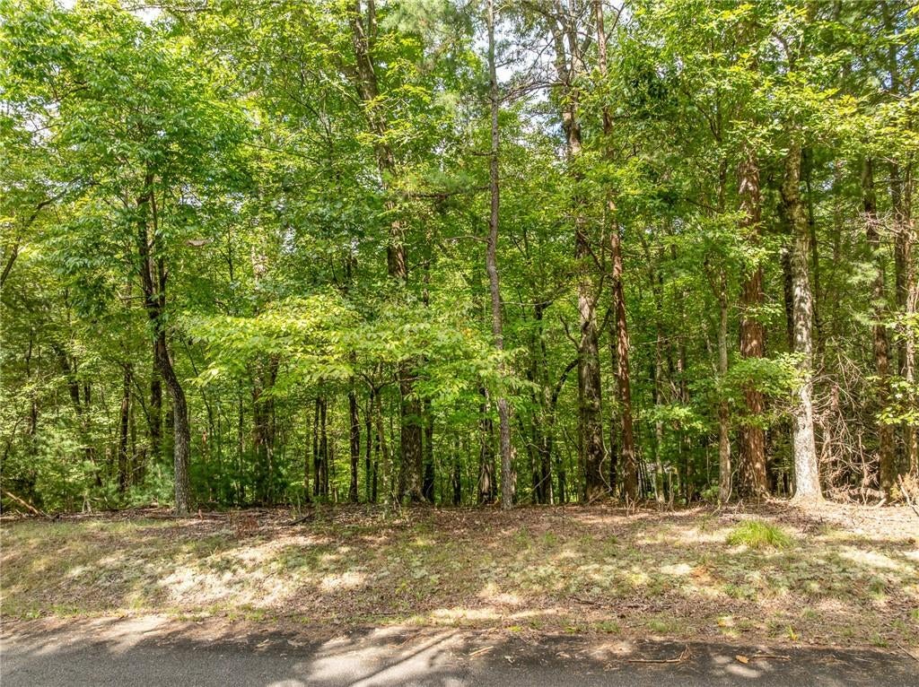 LT 272 Seneca Drive