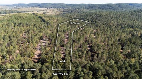 3797 HWY 140 NE Rydal GA 30171