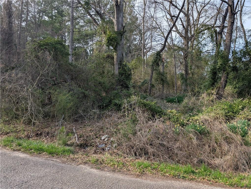 The neighborhood offers access to two lakes - Hi Roc and Rockdale. This is ideal for anyone looking for the opportunity to build their custom home with a lake view, in a well-established community. Enjoy swimming, fishing, and boating one street over from their front door. If that isn't enough, enjoy quick access to the beach at Costly Mill Park. area also boasts a playground and a park. Lot is also conveniently located to shopping, I-20, and GA International Horse Park. Do not miss your opportunity to make this the spot for your dream home. The property has been professionally surveyed with property pins. The community has two industrial wells for water.