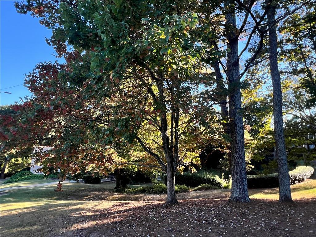 Clairmont Terrace Condominium - Residential