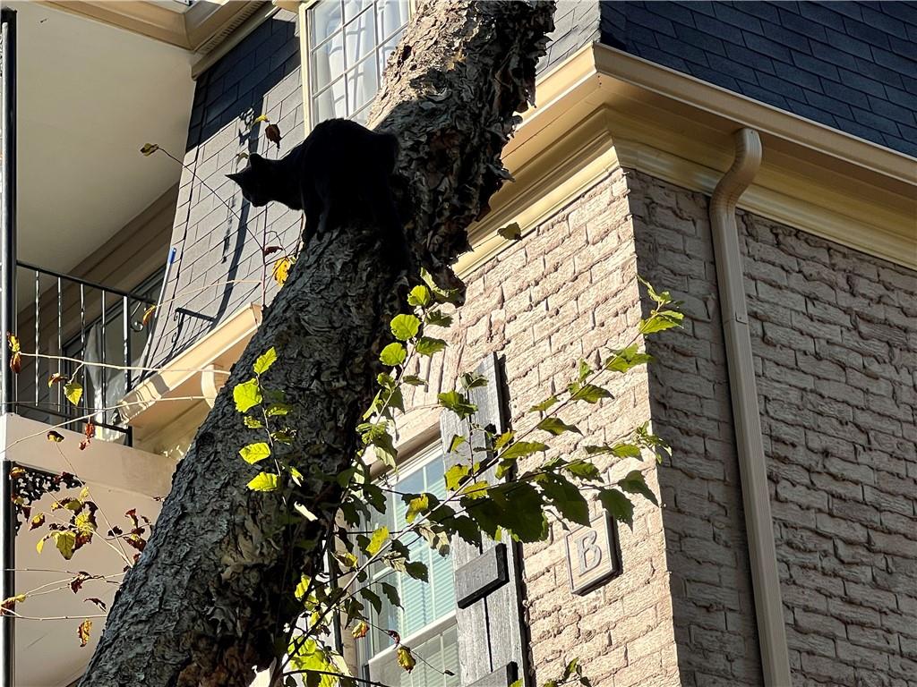 Clairmont Terrace Condominium - Residential